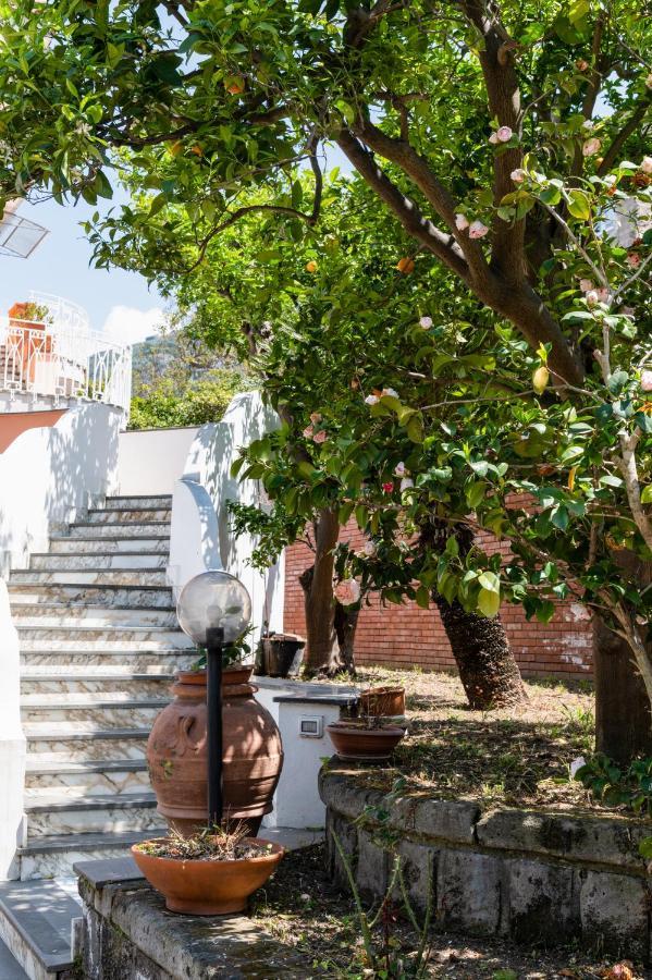 Villa Francesca Relais Piano di Sorrento Dış mekan fotoğraf